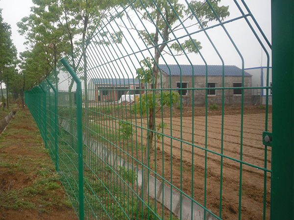 T300型雙邊絲類(lèi)